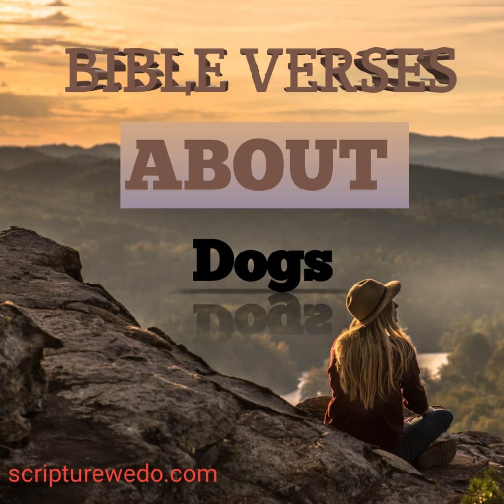 Bible Verses About Dogs