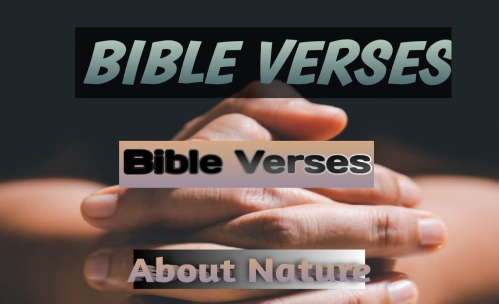 Bible Verses About Nature