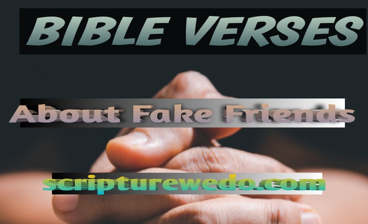 Bible Verses About Fake Friends
