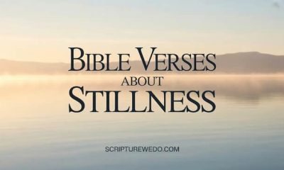 Bible Verses About Stillness