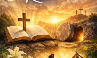 bible verse about rebirth
