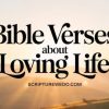 Bible Verses About Loving Life