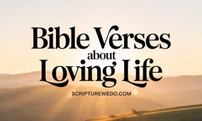 Bible Verses About Loving Life