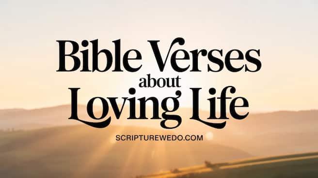 Bible Verses About Loving Life 