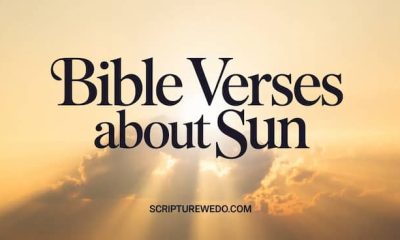 Bible Verses About Sun