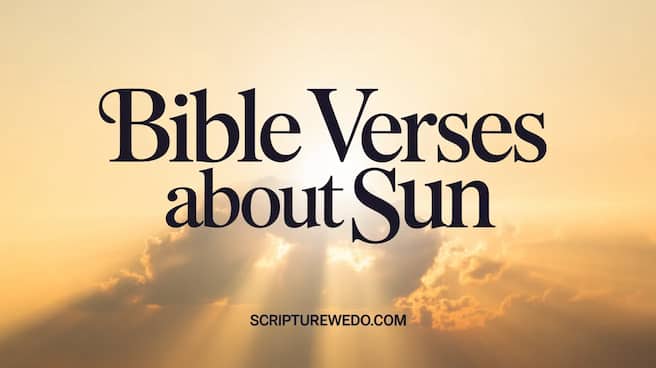 Bible Verses About Sun