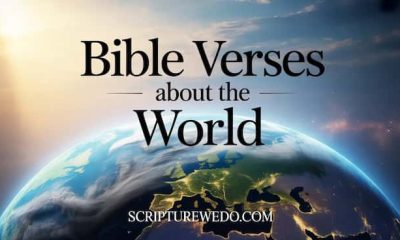 Bible Verses About the World