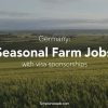 Germany seasonal farm jobs with visa sponsorship