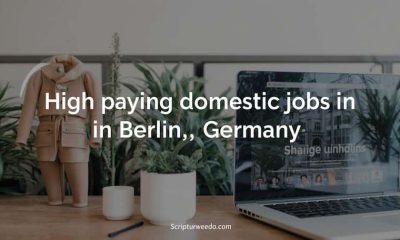 High paying domestic jobs in Berlin, Germany