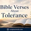 Bible Verses About Tolerance