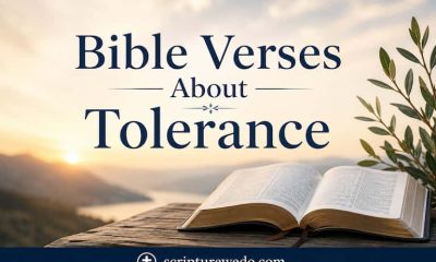 Bible Verses About Tolerance