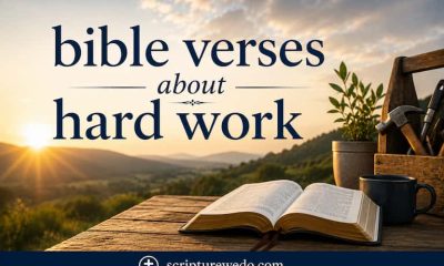 bible verses about hard work